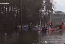 Perro manda a un lago carro y bote de su amo