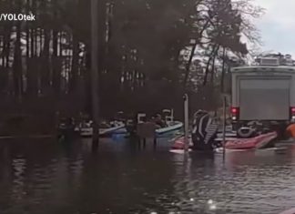 Perro manda a un lago carro y bote de su amo