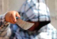 DESENTUERTOS: REGRESAN LOS MACHETEROS