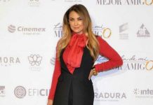 No quiere Arámbula aparecer en serie sobre Luis Miguel