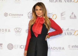 No quiere Arámbula aparecer en serie sobre Luis Miguel