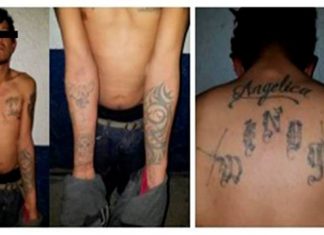 Cae sujeto que robó 20 vehículos este año