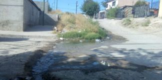 Denuncian foco de infección por aguas negras