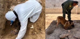 Desentierra restos humanos Fiscalía de la Mujer