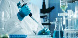 Descarta ciencia que exista ‘gen gay’