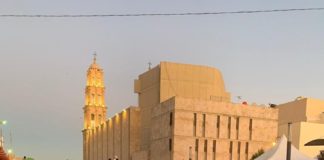 Gana Escarabajo en 3D concurso de Gisarte