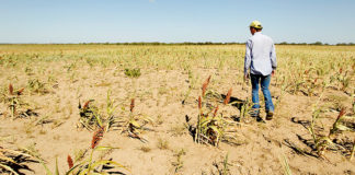 Fin a subsidios al campo, más para programas en 2020