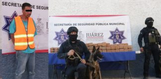 Aseguran 264 libras de marihuana que irían a Estados Unidos