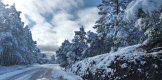 Intensas nevadas afectan a Chihuahua y provocan el cierre de carreteras