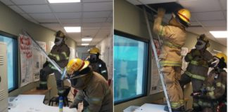 Enjambre de abejas atemoriza en UACJ