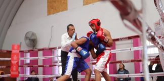 Peleadores de colonias dan muestra de talento