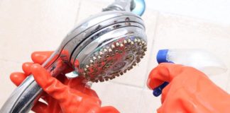 Promueve Ecología uso del vinagre para limpieza y desinfección