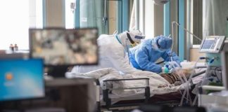 Sube a 29 número de muertos por Covid-19 en México