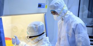 Laboratorio chino experimenta en monos con éxito vacuna contra Covid-19