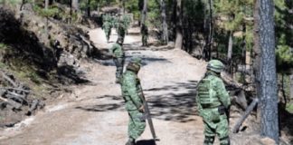 Enfrentamiento deja 19 muertos en Madera, Chihuahua