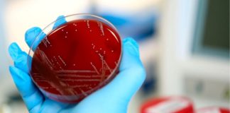 El coronavirus nos acompañará durante mucho tiempo: OMS