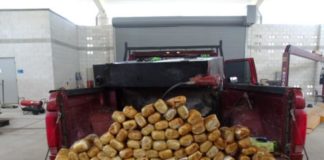 Cierre de frontera con EU le pega a cárteles