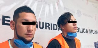 Detienen a dos sujetos en poder de una planta de marihuana