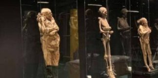 Denuncian pérdida de momias en Guanajuato