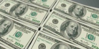 Sedena asegura 50 mil dólares en Sonora