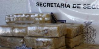 Les frustran entrega de cargamento de droga; valía medio millón de pesos