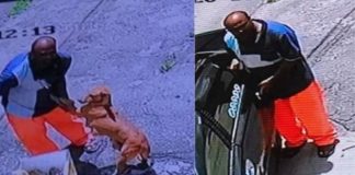 Perrita se aferra a su dueño antes de ser abandonada