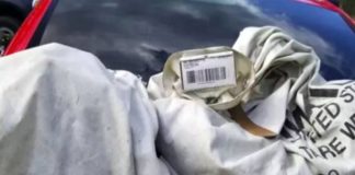 Familia sale del encierro y se encuentra un millón de dólares