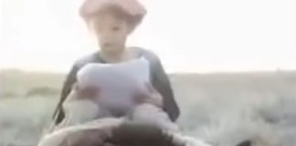 Niño recorre 30 km a caballo para tener Internet y entregar su tarea