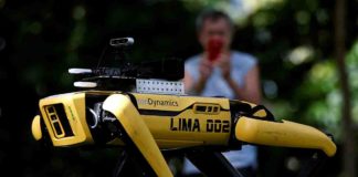 Los increíbles ‘perros robot’ que vigilan Singapur ante coronavirus