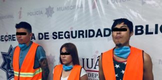 Detienen a 3 personas en poder de cuatro plantas de marihuana