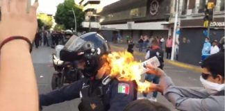 Manifestantes prenden fuego a policía en Guadalajara (VIDEO)