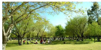 Reabre El Chamizal a medias; bares y cantinas deben esperar