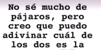 Meme: ¿cuál es la esposa?