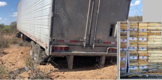 Aseguran en Allende camión robado cargado de manzanas