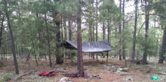 Localizan campamento donde tenían secuestrado a exalcalde de madera