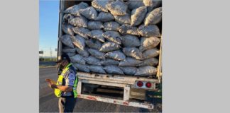 Decomisan 21 toneladas de carbón sin documentar en carretera Chihuahua-Juárez