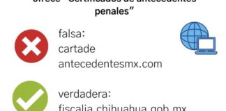 Alertan por pagina que ofrece “Certificados de antecedentes penales”
