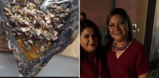 Come regidora de BCS tortuga en peligro de extinción