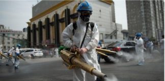 Alerta en China por caso de peste bubónica