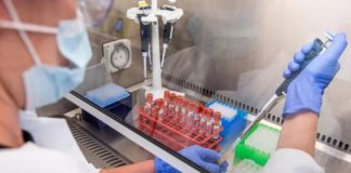 Podría México contar con vacuna contra covid este año: Ebrard