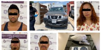 Tras cateo detienen a 4 narcomenudistas