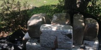 Encuentran abandonados 230 kilos de marihuana en Témoris