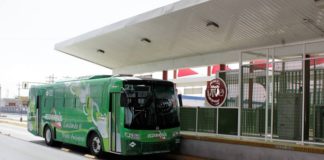 Exhortarán al Estado a que preserve flora en ruta del Ecobus