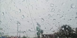 Llegará calor hasta los 42 grados y 30% de probabilidad de lluvias por la tarde