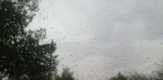 Probabilidad de lluvia al 20% en la noche, emiten alerta amarilla