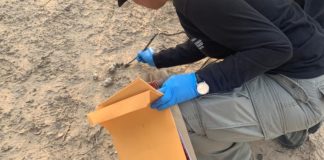 Encuentran dos fosas más en “El Mimbre”