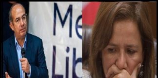 TEPJF ‘mató’ a México Libre y dio vida a organizaciones afines a la 4T