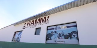 Suspenden adopciones de mascotas en RAMMi por contingencia