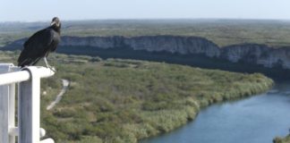 México cumple entrega de agua a EU… sin Chihuahua