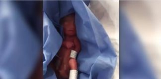 ¡Está vivo! Hallan a bebé con vida en morgue del IMSS